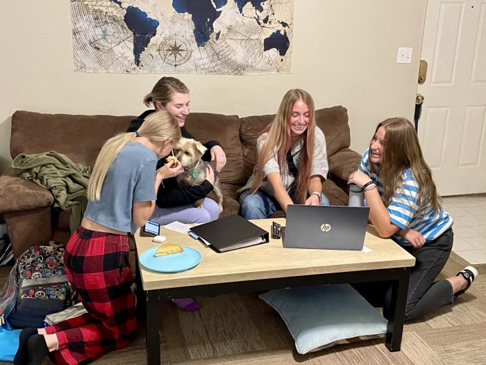 5 reasons why you should have total strangers roommates