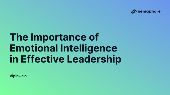 Emotional intelligence in leadership