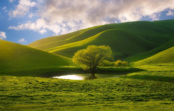 50 Beautiful Nature Photography examples from famous photographers Natural ways to fight depression