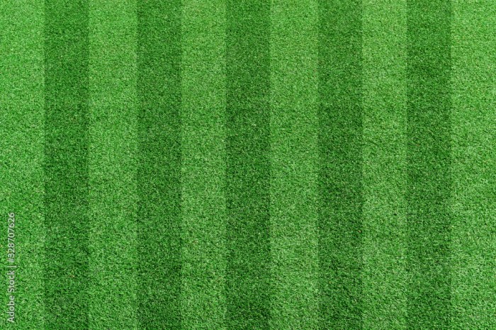 Top view stripe grass soccer field. Green lawn pattern background Stock ... Top 10 gaming apps that will boost your creativity