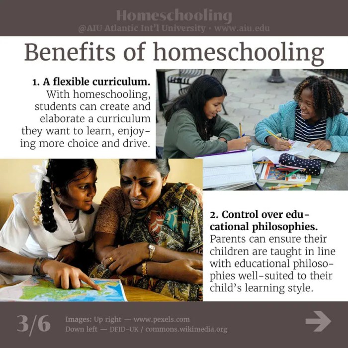 21 Benefits of Homeschooling + FREE Printable - Wildly Anchored ... 10 benefits homeschooling you need know