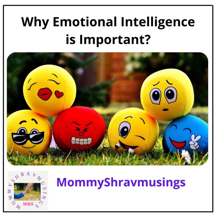 Emotional intelligence why important