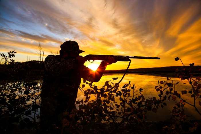 Bird Hunting – Five tips for hunting upland game birds | Western ... Hunting for happiness five ways change your mind and happier
