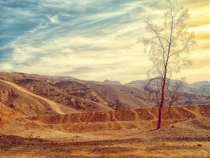 11 Harsh Life Truths You Should Accept 14 harsh life truths you need know stronger