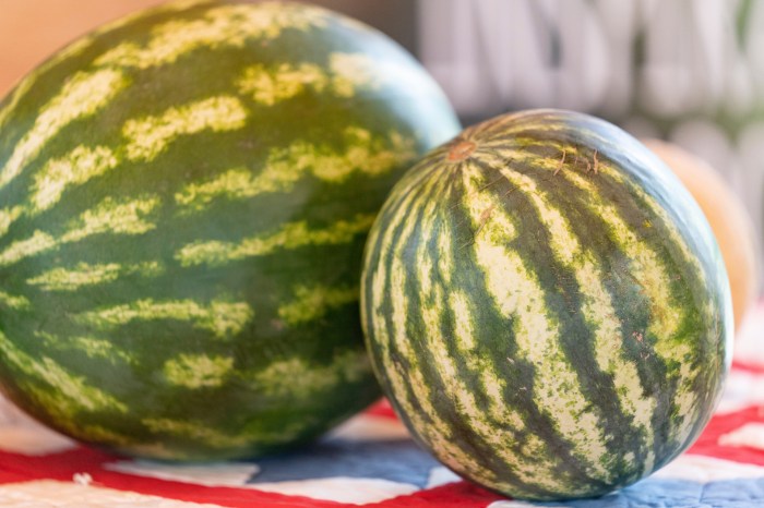 Best fruits for weight loss