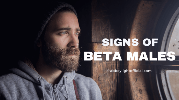 What is A Beta Male? - 20 Traits Help You To Identify Them 10 things beta men that make them truly great guys