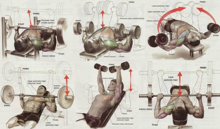 The Perfect 4 Exercise Chest Workout for MASS 4 chest cheat codes for a fuller chest no bench press needed