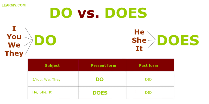 Do E Does Exercícios - BRAINCP Does less discipline equal more freedom