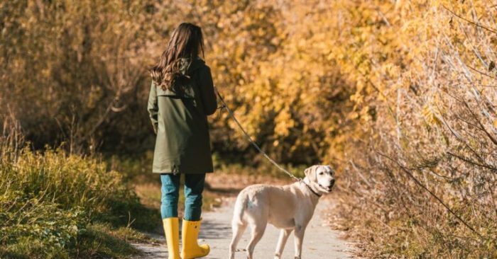7 methods to boost motivation when you're depressed - Wellin5 How to get motivated when depressed