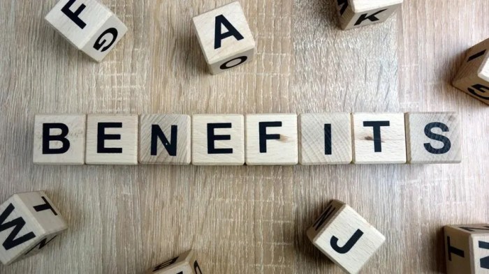 Employee Benefits: The Ultimate Guide – Forbes Advisor Benefits of having a pet