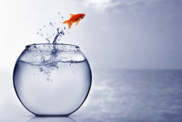 8 reasons why your worst enemy yourself