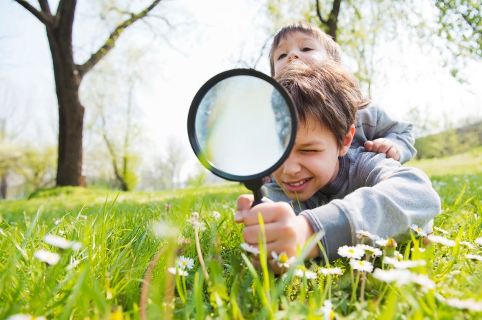 Find a School - Micro Schools Network How to find your dream job