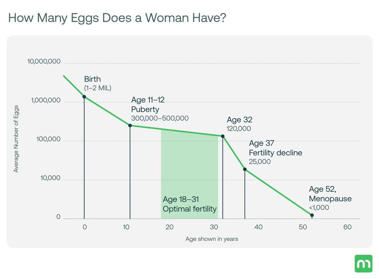 13 Powerful Crystals Believed to Have Super Healing Abilities How to have more entertaining conversations
