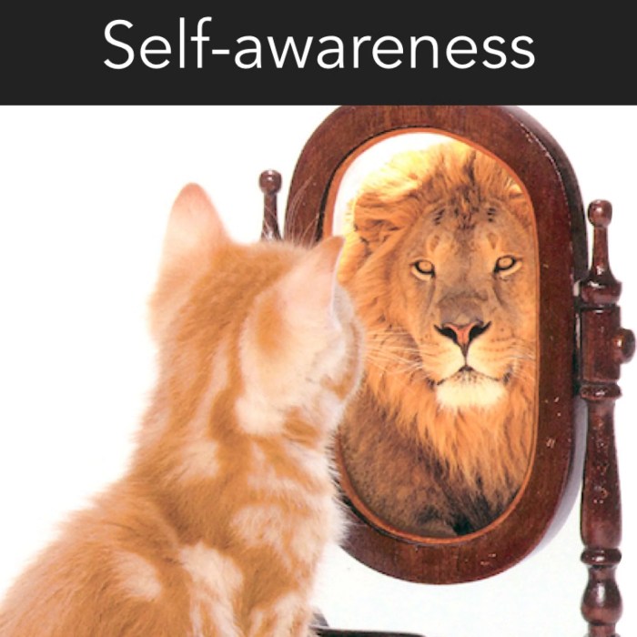 Self care for entrepreneurs 5 healthy tips