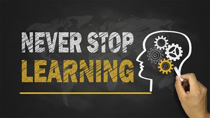 VIDYA'S PHOENIX: PSYCHOLOGY OF TEACHING AND LEARNING ::LEARNING ... Learn to fight the 7 deadly sins