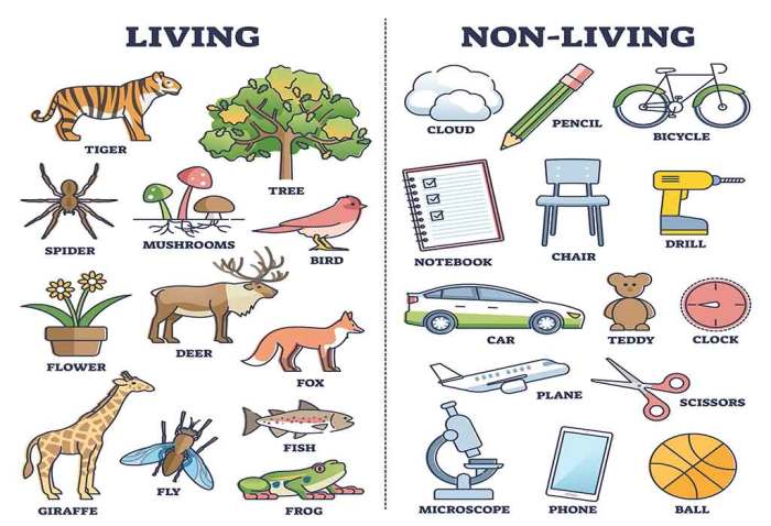 159 Things that Are Yellow in English • 7ESL When times are rough this will add perspective