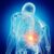 Back Pain During Pregnancy Causes & Relief Tips