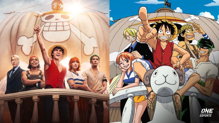 One Piece Nami Luffy Zoro Live 4K #8731l Wallpaper iPhone Phone How live life with regrets