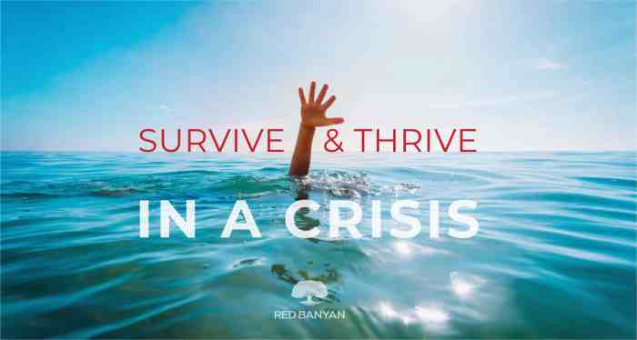How to Survive and Thrive in a Crisis | Red Banyan How survive long distance relationship
