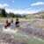 6 Ways Fit the Dude Ranch Your Ultimate Guide