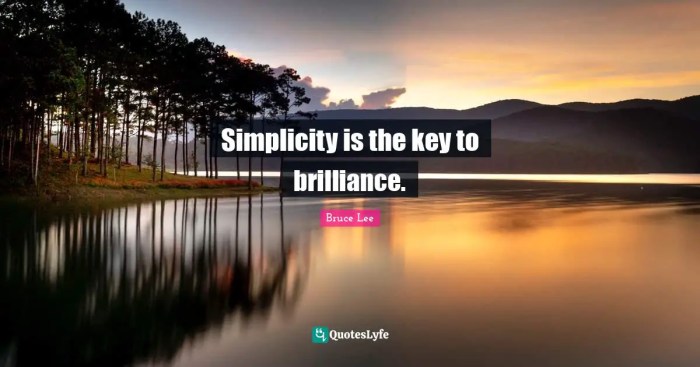 Simplicity the key brilliance