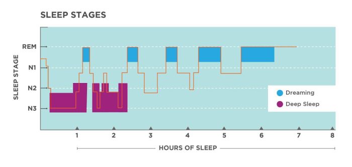 70 Intriguing Sleep Facts That Will Mess With Your Mind How sleep better 10 things remember for good nights sleep