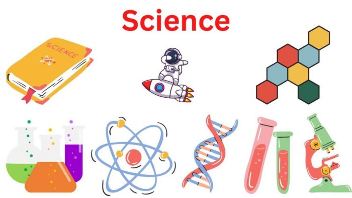 What is Science - Definition, Methods, Types - Research Method Science reveals the truth behind 15 common food myths