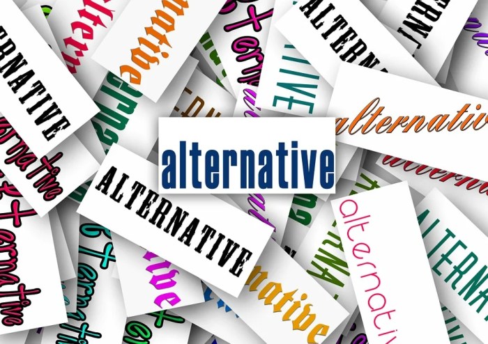Alternatives ios and android mobile operating systems for dummies