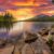 Man Nature Woods Boost Brain Power