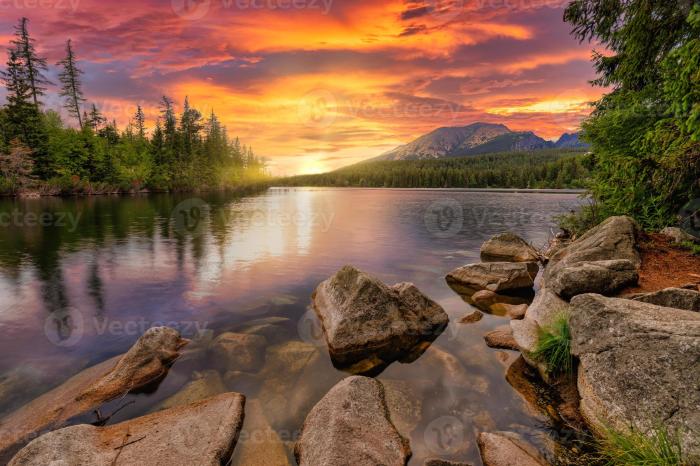 Man nature how going the woods strengthens your brain power