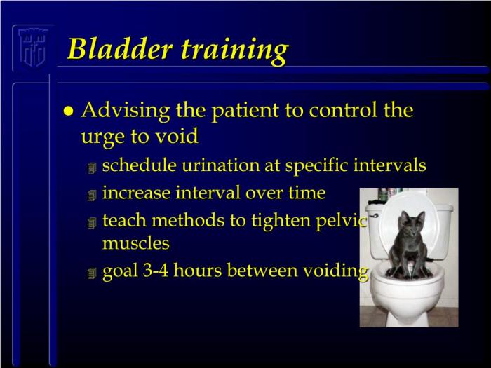 PPT - Urinary Incontinence PowerPoint Presentation, free download - ID ... Complete bladder training guide for urinary incontinence