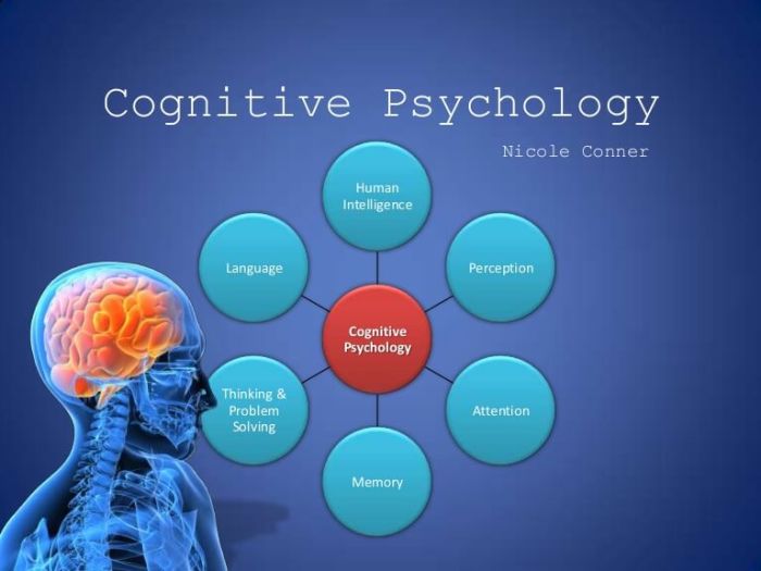 What is cognitive dissonance