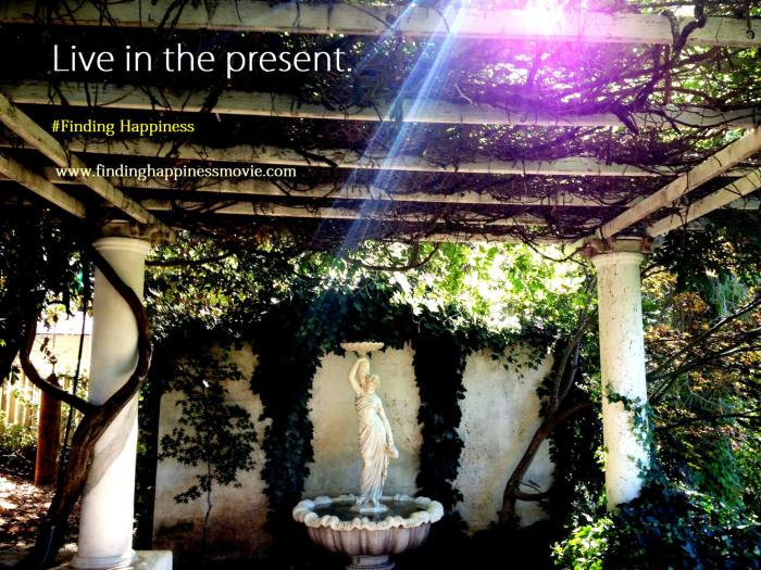 Happy life finding happiness – Artofit Finding joy in life