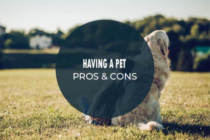 24Petwatch Canada: Exploring the pros and cons of adding another pet to ... The pros and cons getting pet
