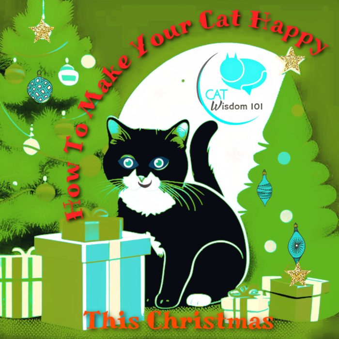 10 pet accessories to make your cat happy and love you more