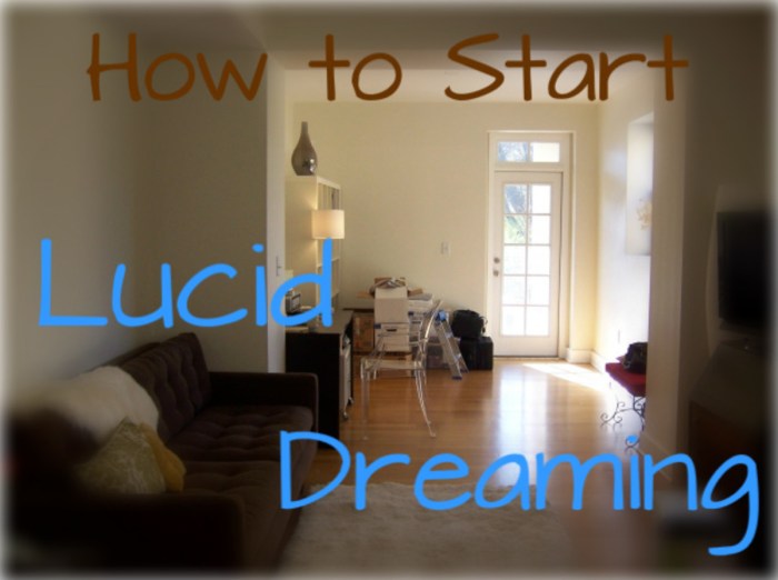 A Beginner's Guide to Lucid Dreaming 7 steps to start lucid dreaming