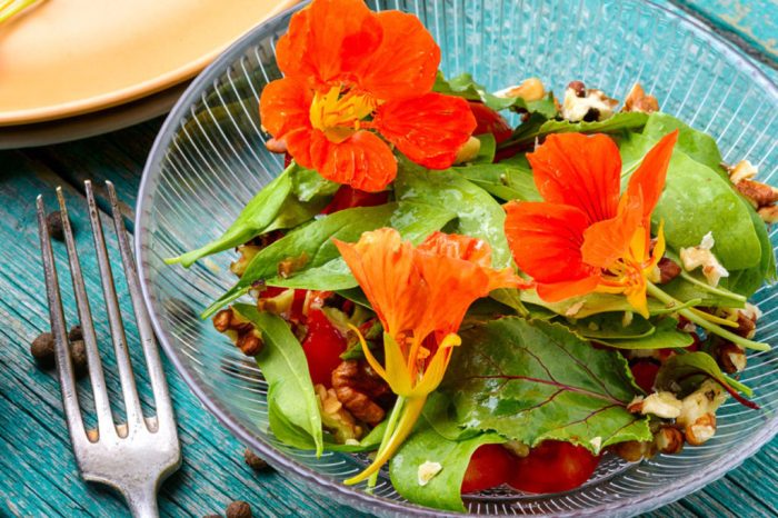 Which Flowers are Edible? A List of Edible Flowers and Their Uses! 42 flowers you can eat and how you can eat them