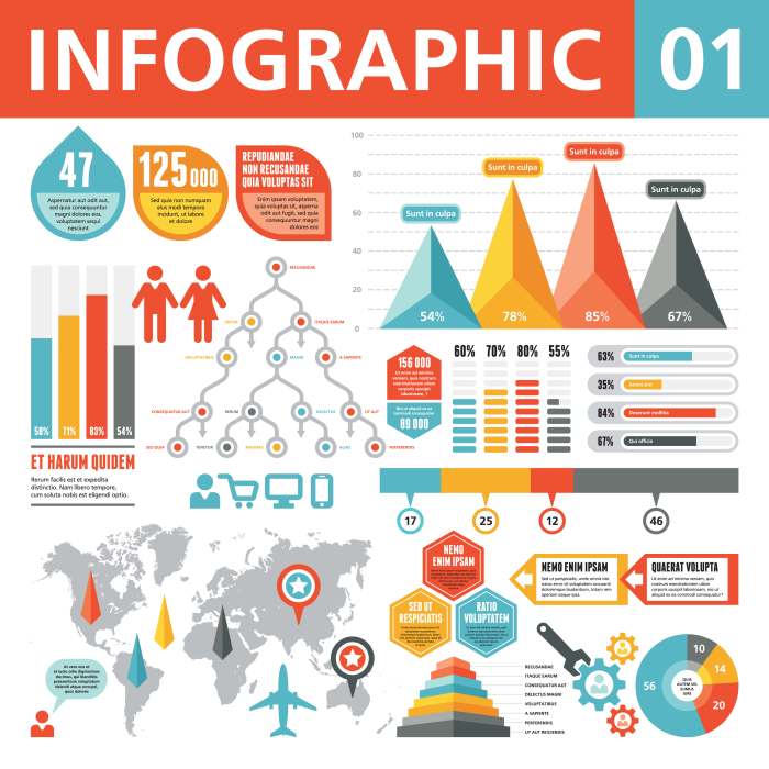 101 Best Infographic Examples for Beginners Infographic how choose your first programming language based the life you want
