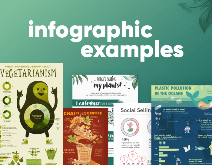 Infographic how choose your first programming language based the life you want
