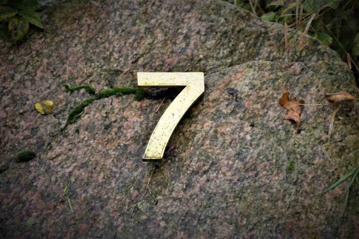 23 Fun Facts About Number 7 That Will Amaze You - Amazing Facts Home 7 reasons you should eat eggs for breakfast