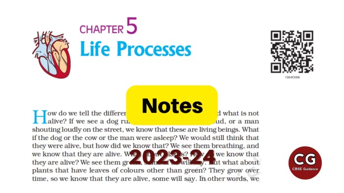 Life Processes Class 10 Notes: Simplified and Easy to Understand - CBSE ... When life knocks you down