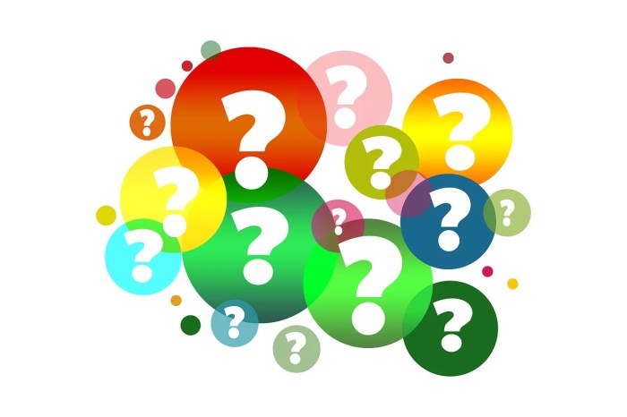 Question of the day