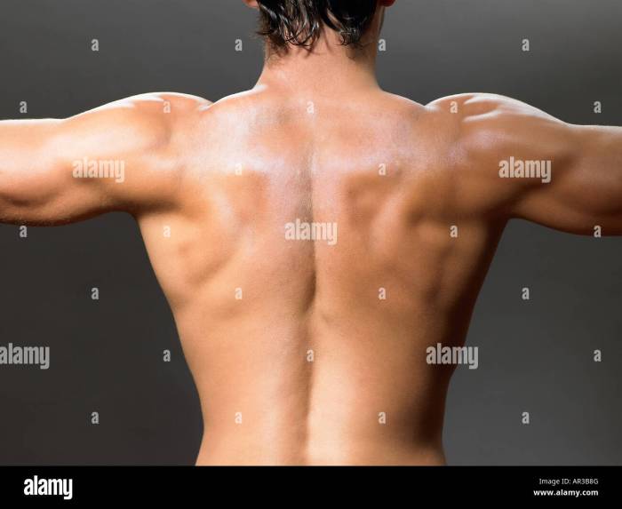 Anatomy rear view back human hi-res stock photography and images - Alamy Back pain during pregnancy causes and tips for relief