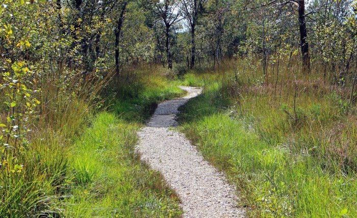 10 life lessons you should never believe