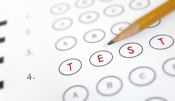 How test your business idea without spending dime