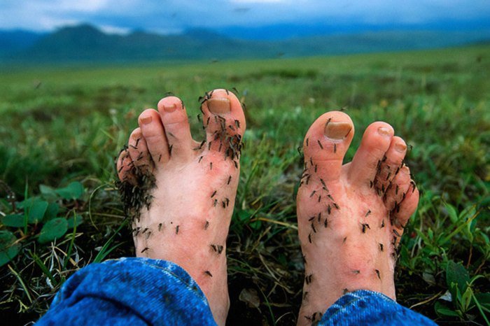 50 Painfully Uncomfortable Pics No One Asked For Ever | Bored Panda Hard truths about life that you need to realize