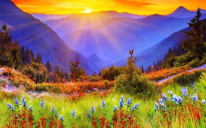 Man nature how going the woods strengthens your brain power