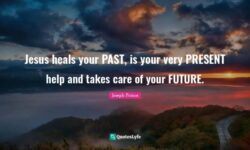 Embrace your wounds of the past they are the seeds of your wisdom