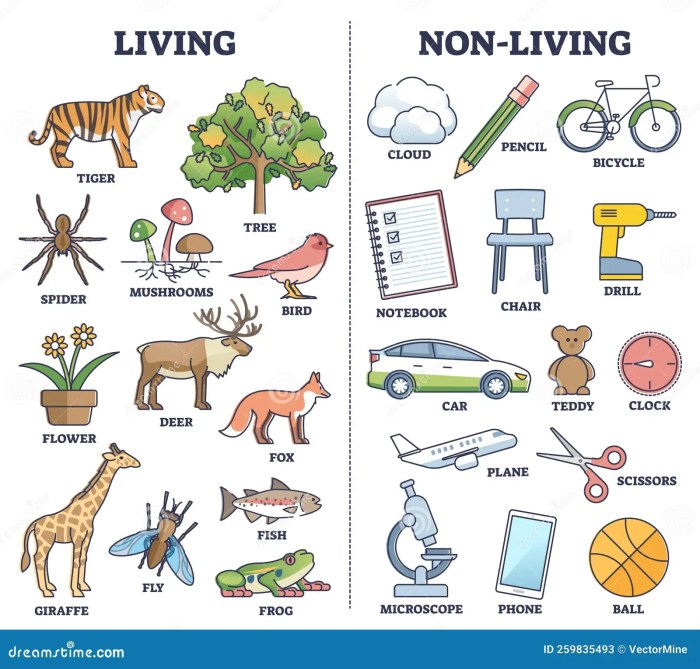 Living Vs Non Living Things Comparison for Kids Teaching Outline ... Things that you should fall back love with yourself