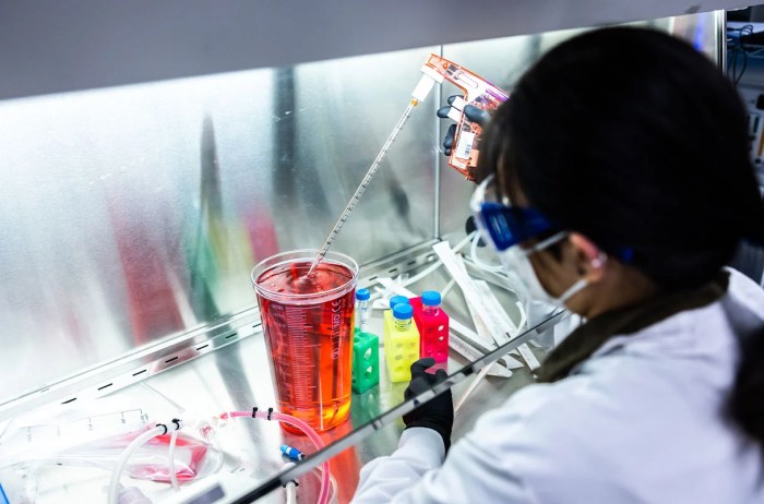 Science Says Screaming Good for You? Debunked